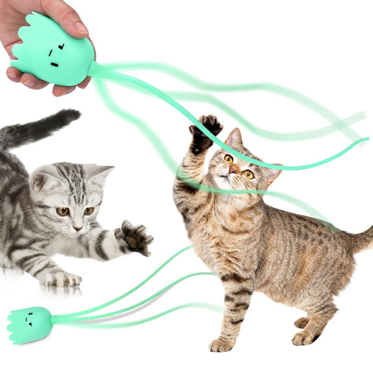 Most high-tech electric cat toy of 2024.